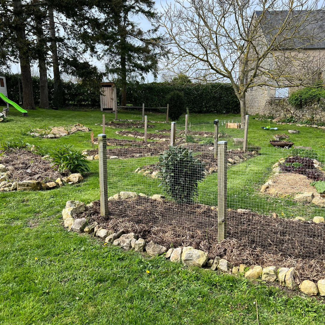 Comment utiliser les cendres de cheminée au jardin potager ?