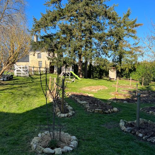 Que faire en janvier au potager ?