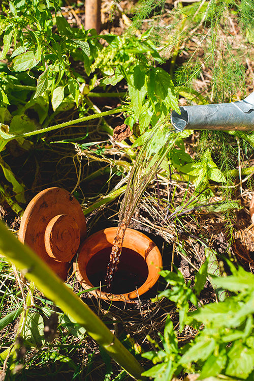 La gestion de l'eau au potager !