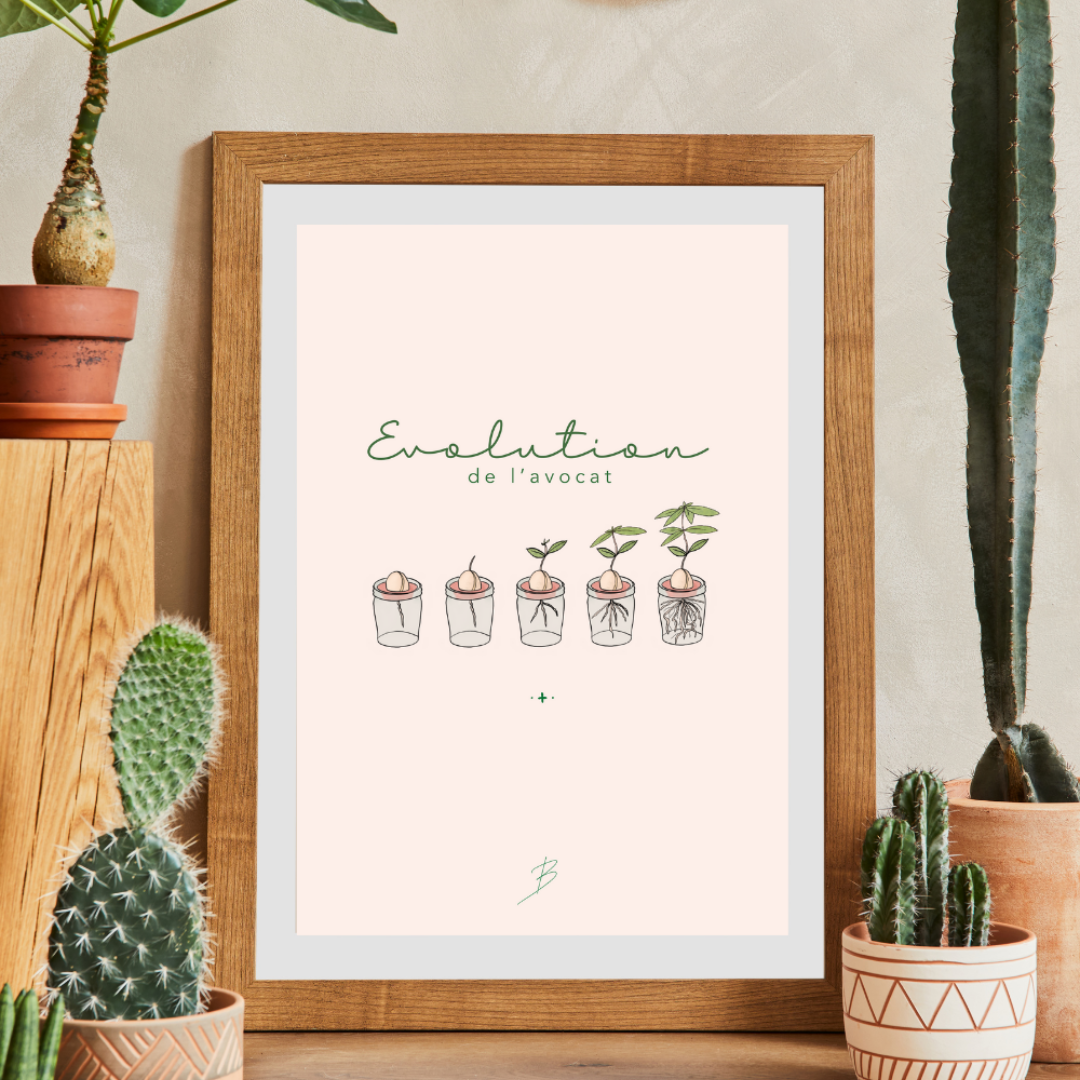 Affiche "Evolution de l’avocat"