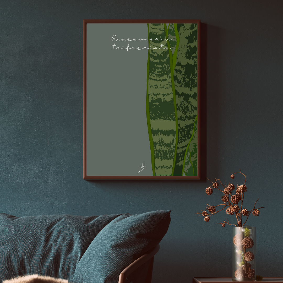 Affiche "Sansevieria Trifasciata, la plante serpent"