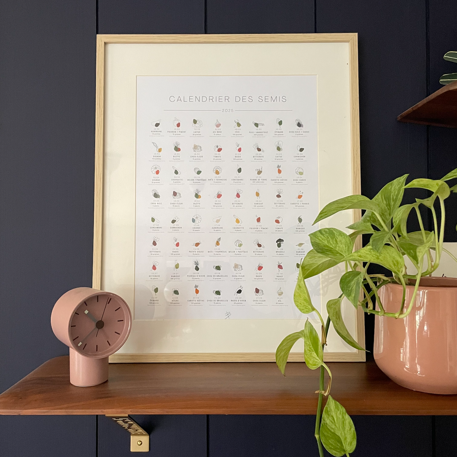 Calendrier des semis du jardin potager