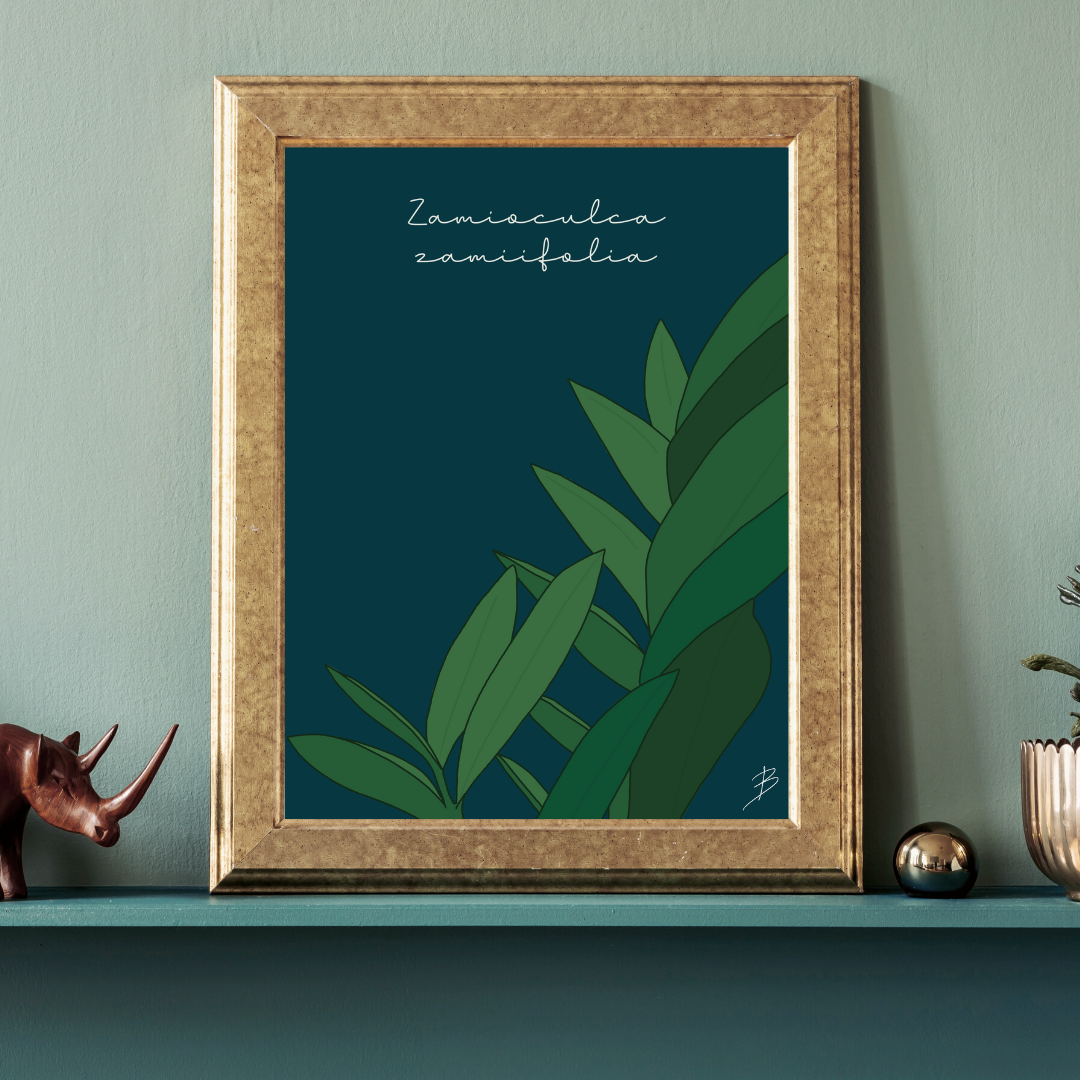 Affiche "Zamioculcas Zamiifolia, la plante de l'éternité"