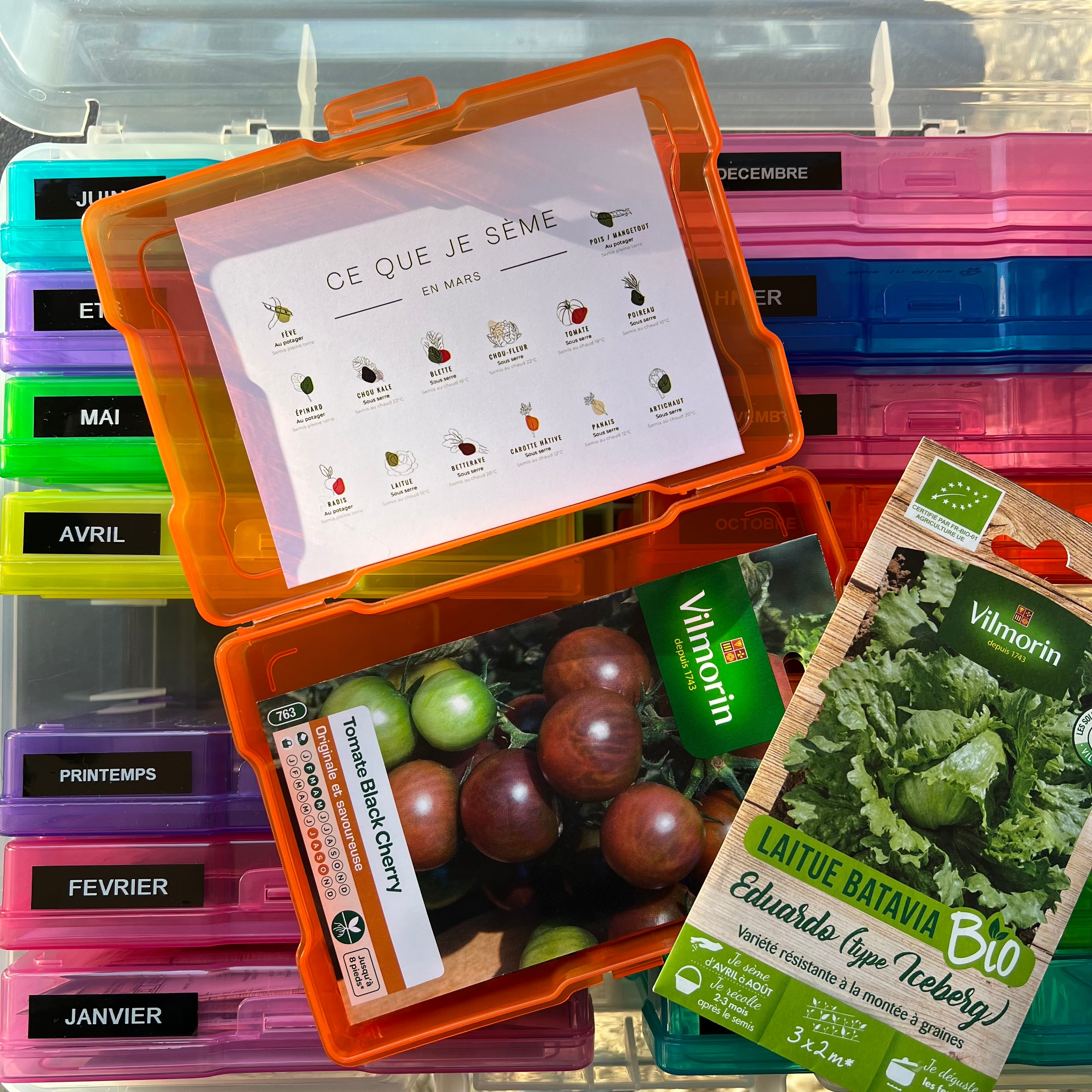 Fiches mensuelles du jardin potager